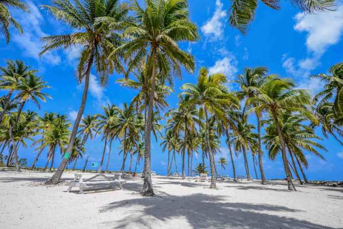 14. Half Moon Caye, Central Coast